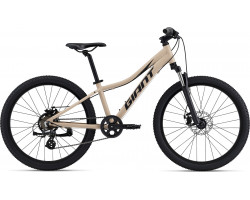 XtC Jr Disc 24